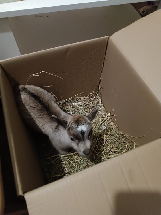 ��, ������. ��������� �������� ��������!