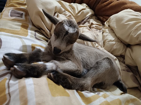 ��� �������� ������. ��������� �������� ��������!