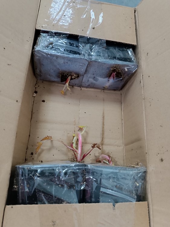 �������� ����� -40. ��������� �������� ��������!