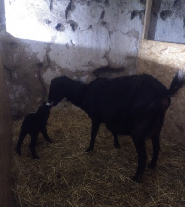 lisena1,. ��������� �������� ��������!