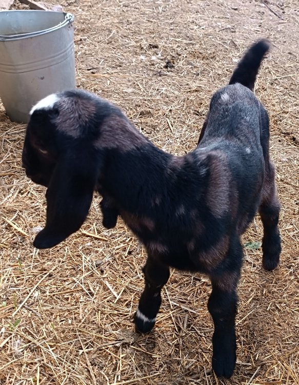 ������ �����. ��������� �������� ��������!