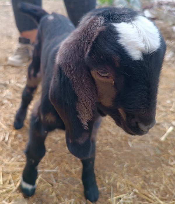 �������,. ��������� �������� ��������!