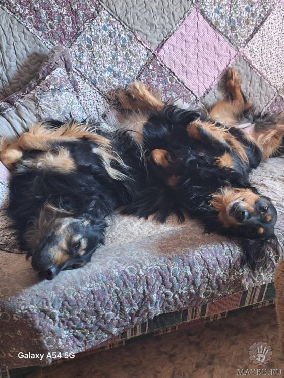 Просмотреть картинку вот крошечный. Подождите загрузки картинки!