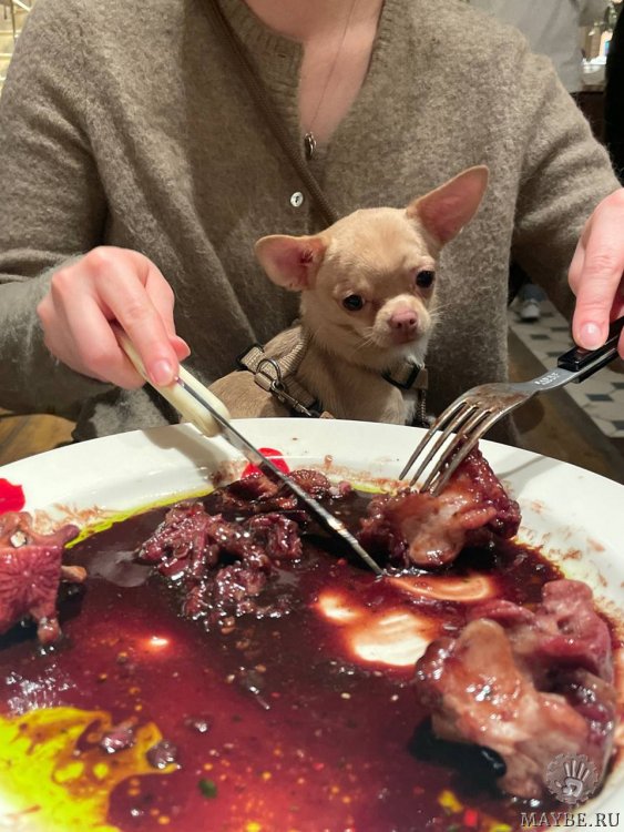 Просмотреть картинку Девочки,. Подождите загрузки картинки!