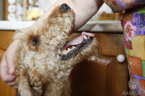 ����,. ��������� �������� ��������!