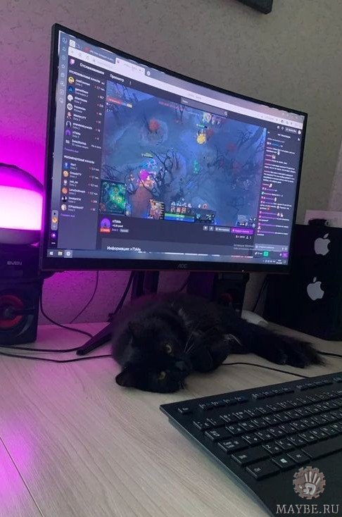 �������. ��������� �������� ��������!