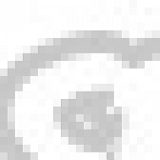 к записям дневника