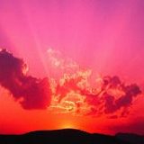 к записям дневника