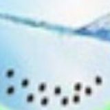 к записям дневника