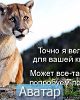 Ledy_vam_клон 677311