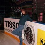 к записям дневника