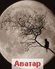 Moonlight
