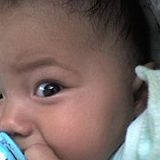 к записям дневника