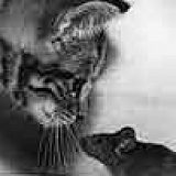 к записям дневника