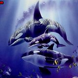 к записям дневника