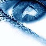 к записям дневника