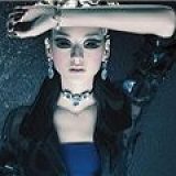 к записям дневника