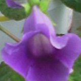 к записям дневника