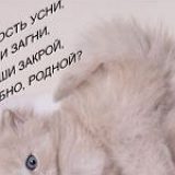 к записям дневника