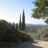 к записям дневника