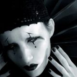 к записям дневника