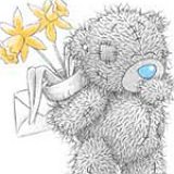 к записям дневника