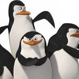 к записям дневника