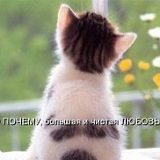 к записям дневника