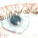 к записям дневника