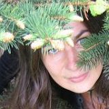 к записям дневника