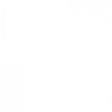 к записям дневника