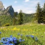 к записям дневника