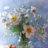 к записям дневника