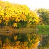 к записям дневника