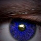 к записям дневника