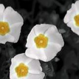 к записям дневника