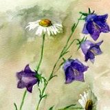 к записям дневника