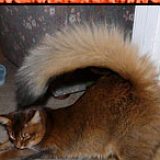 к записям дневника