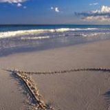 к записям дневника