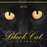 к записям дневника