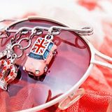 к записям дневника