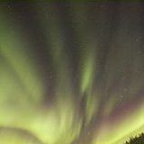 к записям дневника