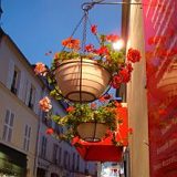 к записям дневника