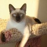 к записям дневника