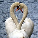 к записям дневника