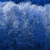 к записям дневника