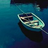 к записям дневника