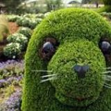 к записям дневника