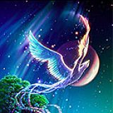 к записям дневника