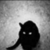 к записям дневника